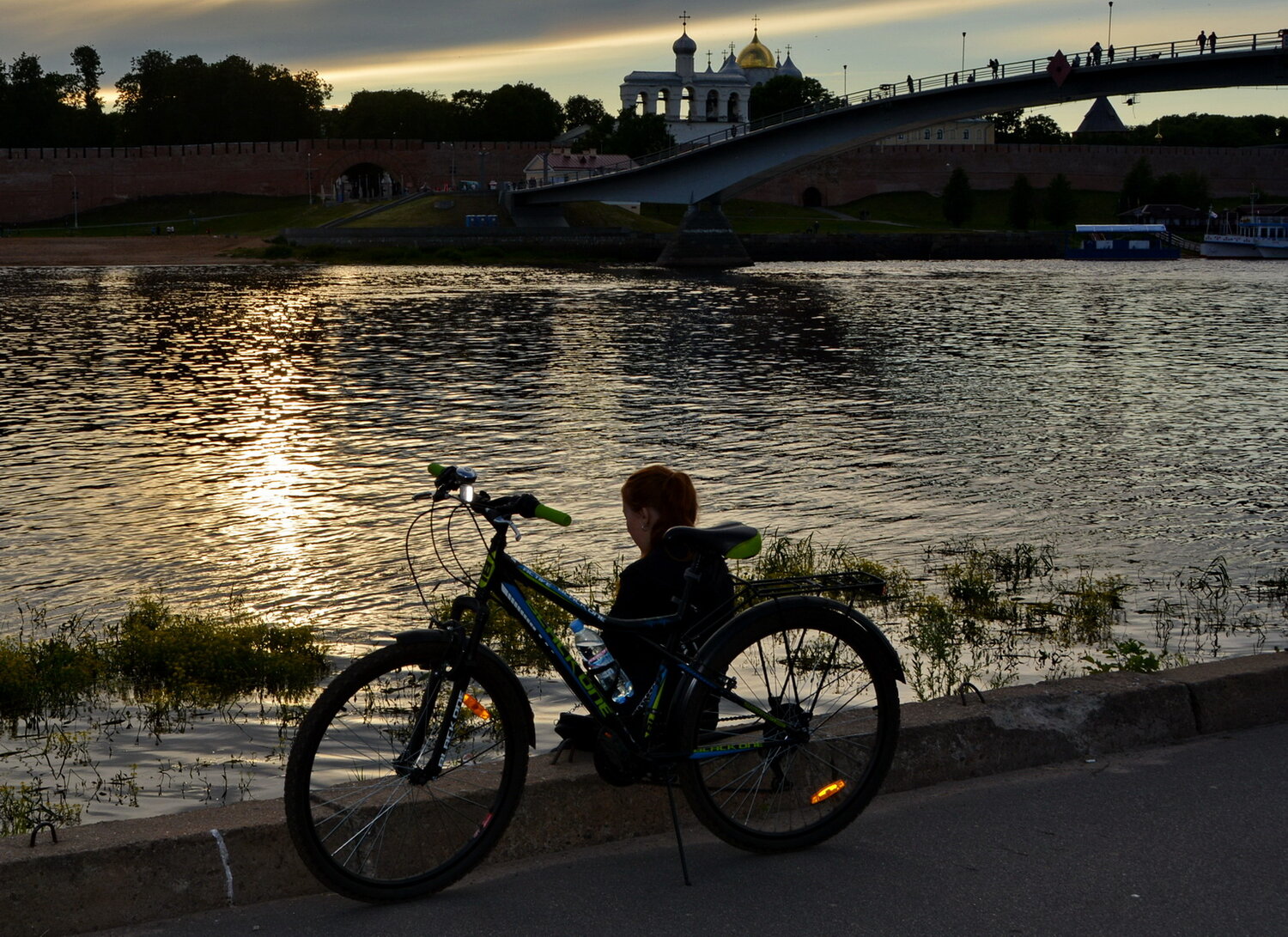 Photo #14038190