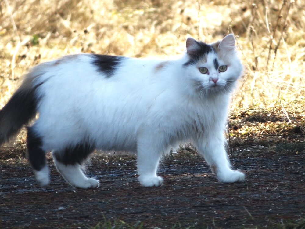 Photograph by Лариса Басова
