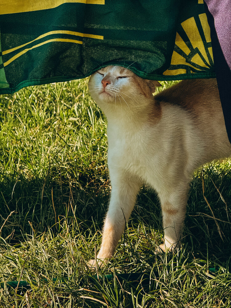 Photograph by Анна Пигулевская