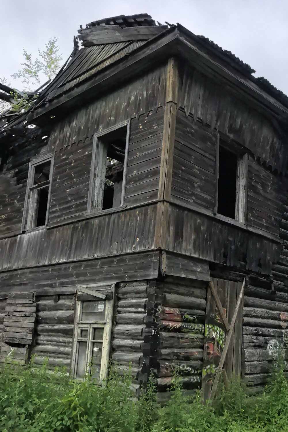 Photo #14038255