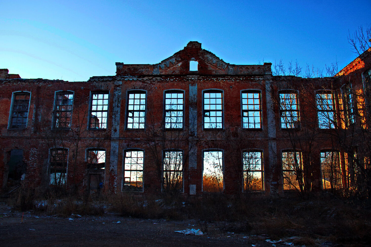 Photo #14038269