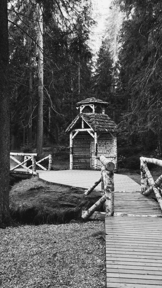 Photograph by Анна Кош
