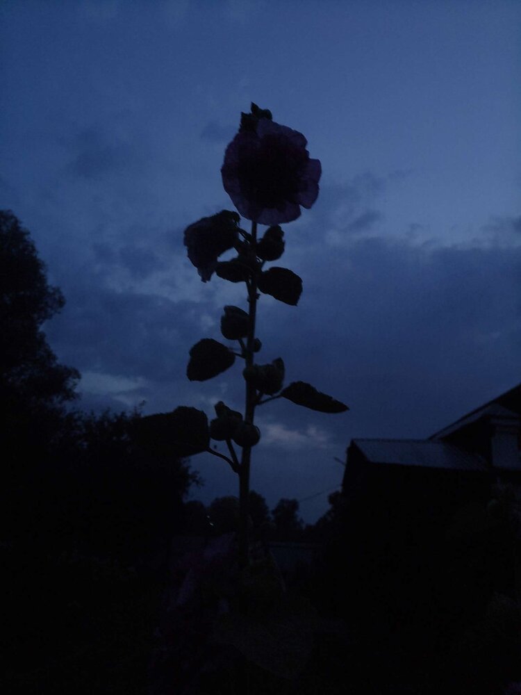 Photograph by Лилия Исхакова
