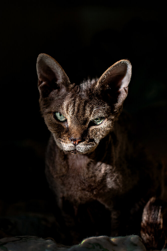 Photograph by Екатерина Молодкина