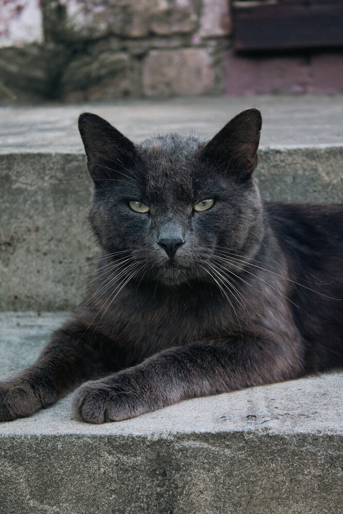 Photograph by VIKTORYIA MARCHYK