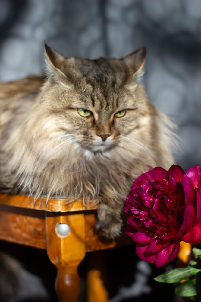 Photograph by Ольга Денисова