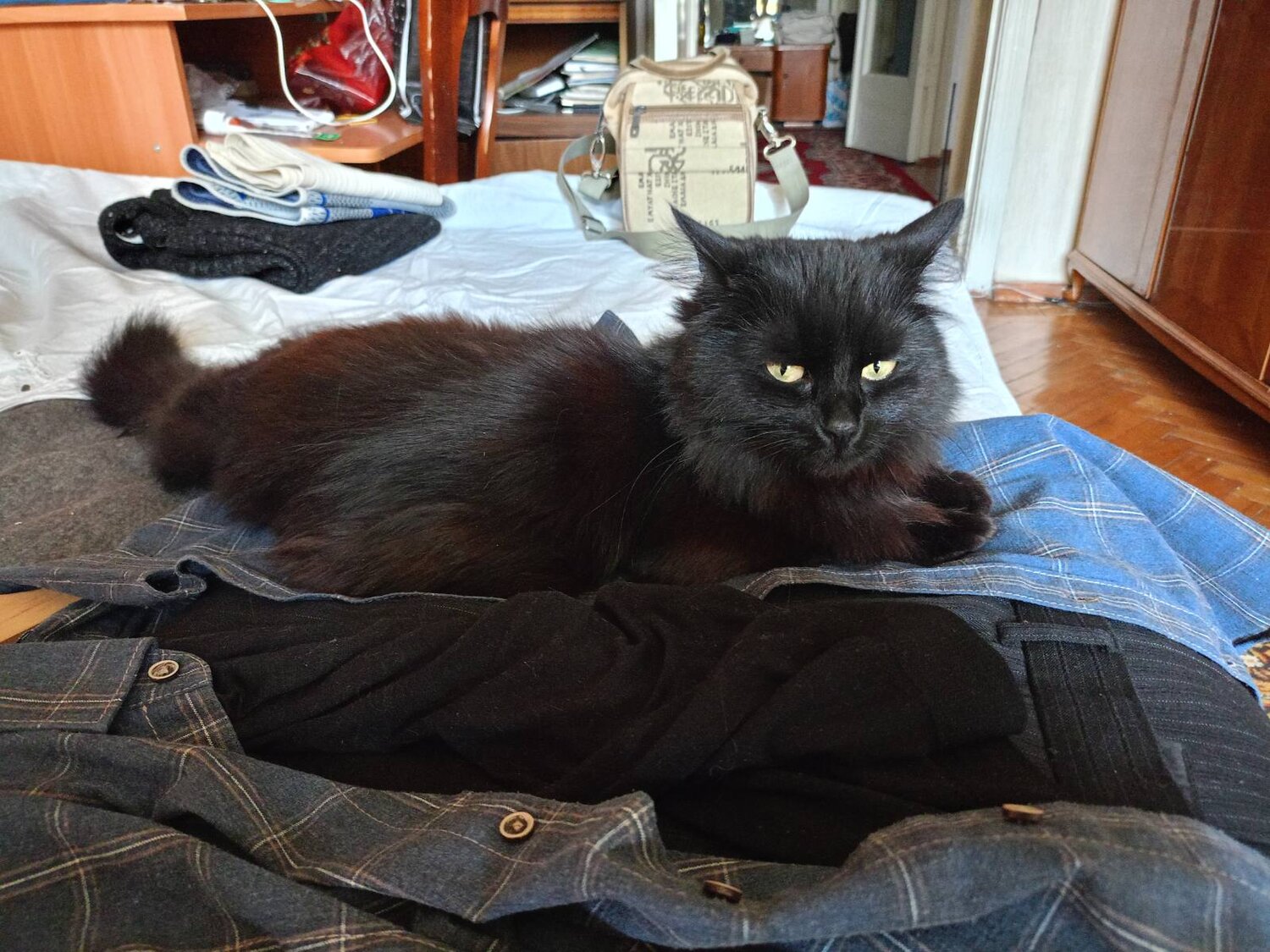 Photo #14038505