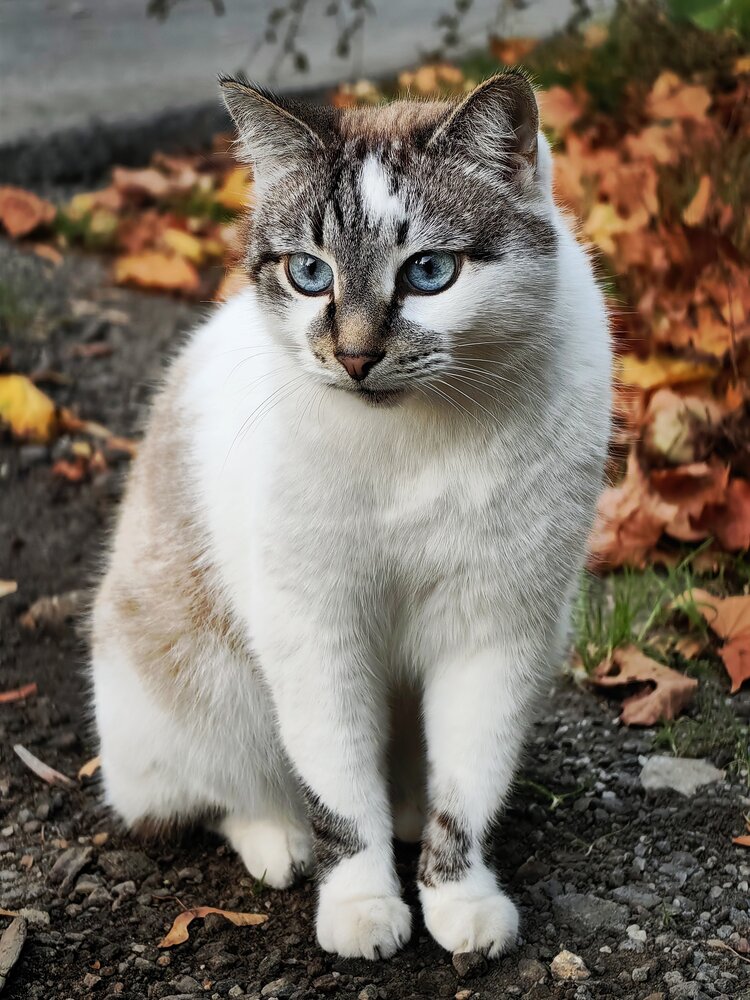 Photograph by Жанна