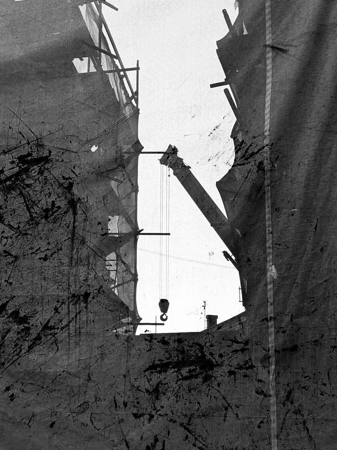 Photo #14038760