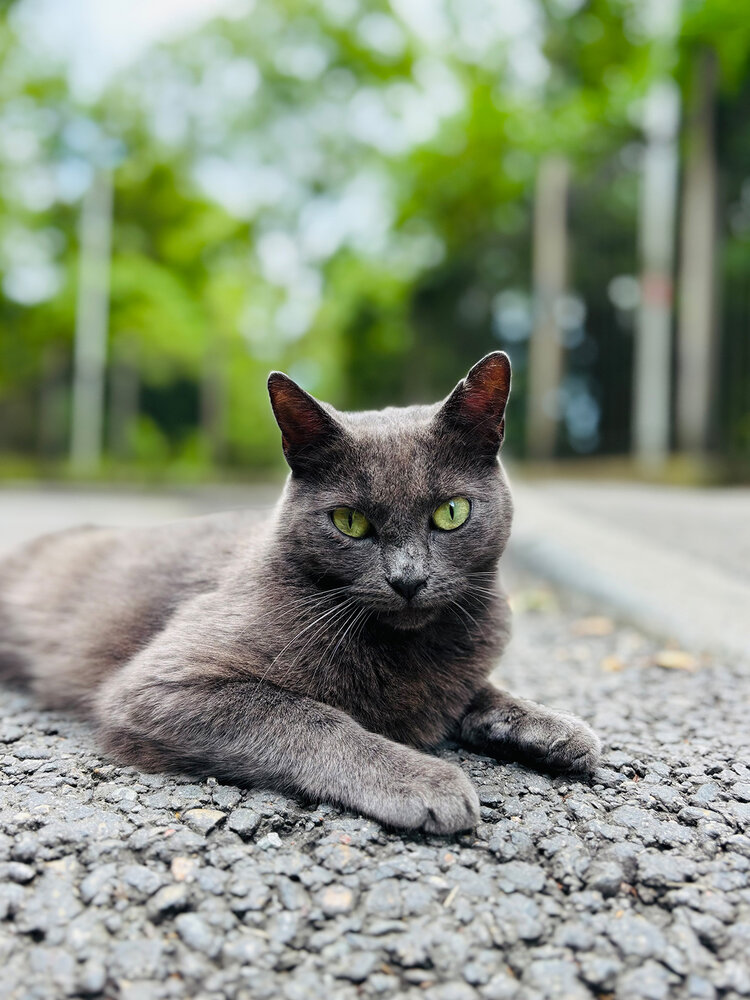 Photograph by Беловодченко