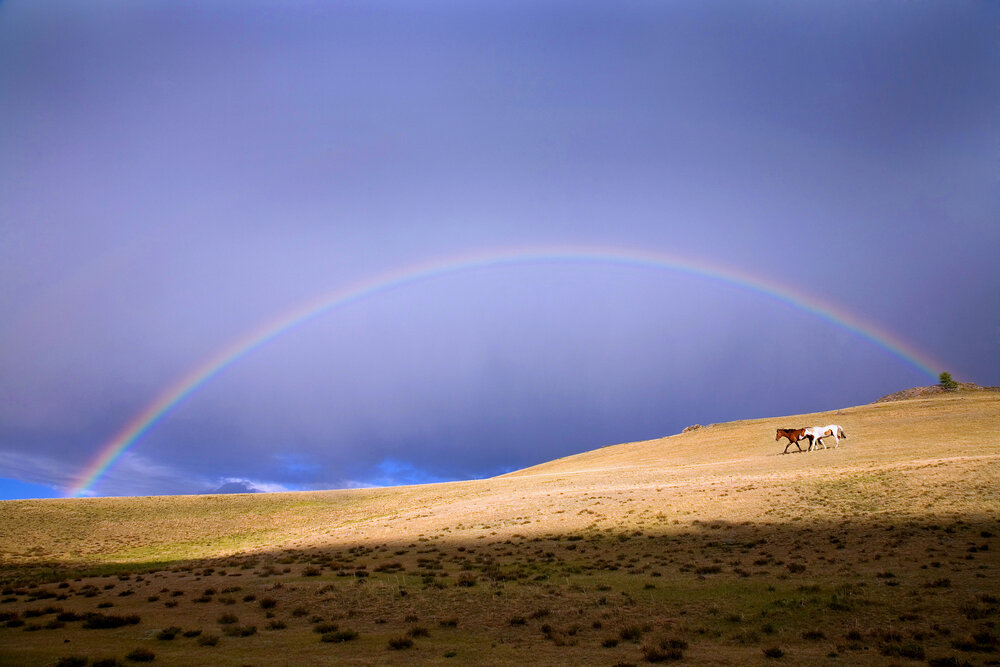 Photograph by Андрей Кочкин