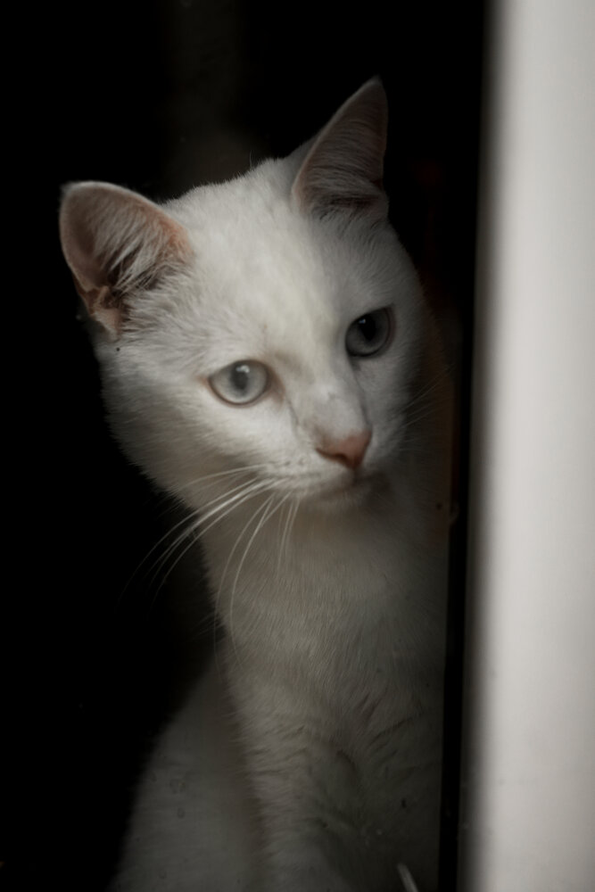 Photograph by Екатерина Анпилова