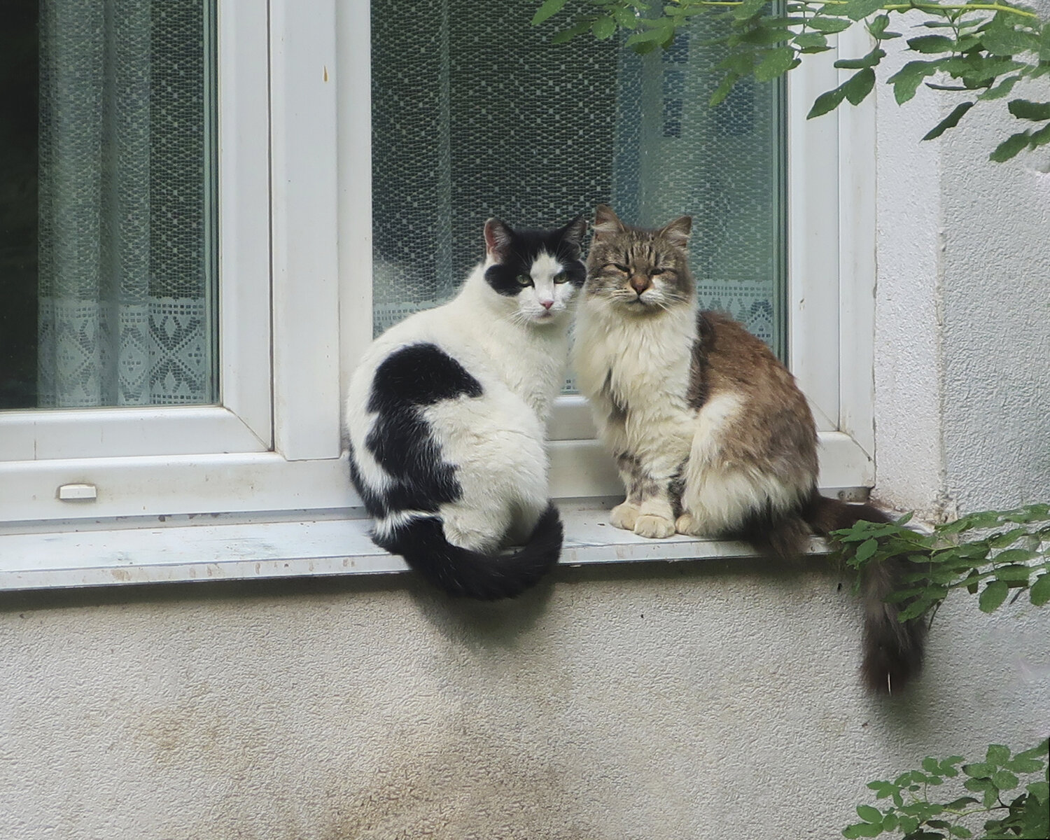 Photo #14038913