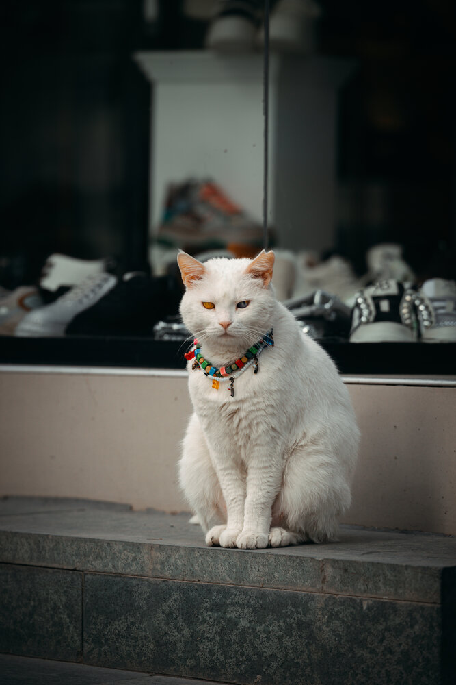 Photograph by Александр Шалагин
