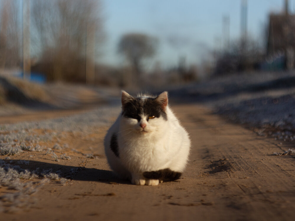Photograph by Анна Масленникова-Бриль