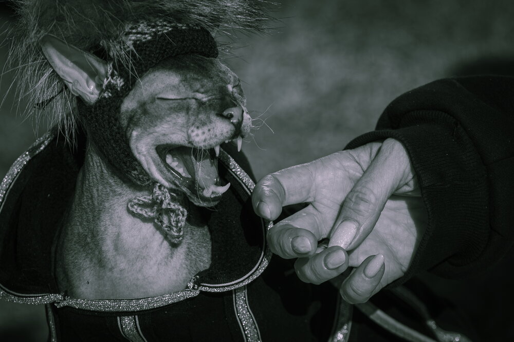 Photograph by Вострецов Александр