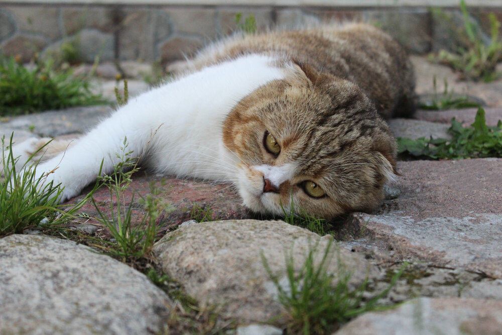 Photograph by Павел Павловский
