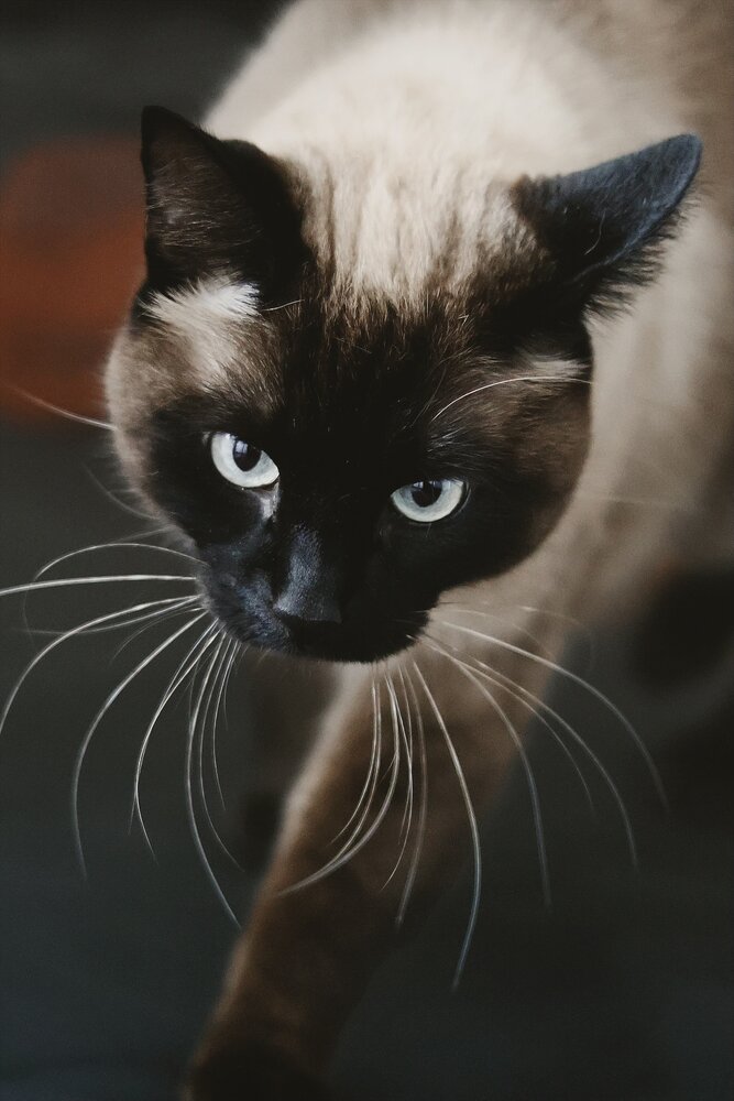 Photograph by Halyna Khomyk