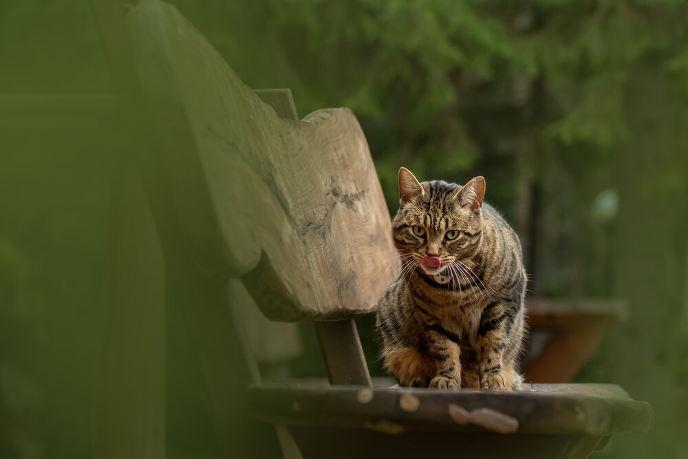 Photograph by Юлия Куликова