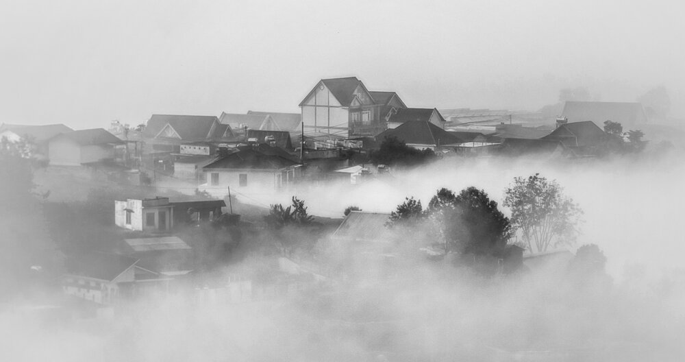 A MASTERPIECE OF NATURE BW
