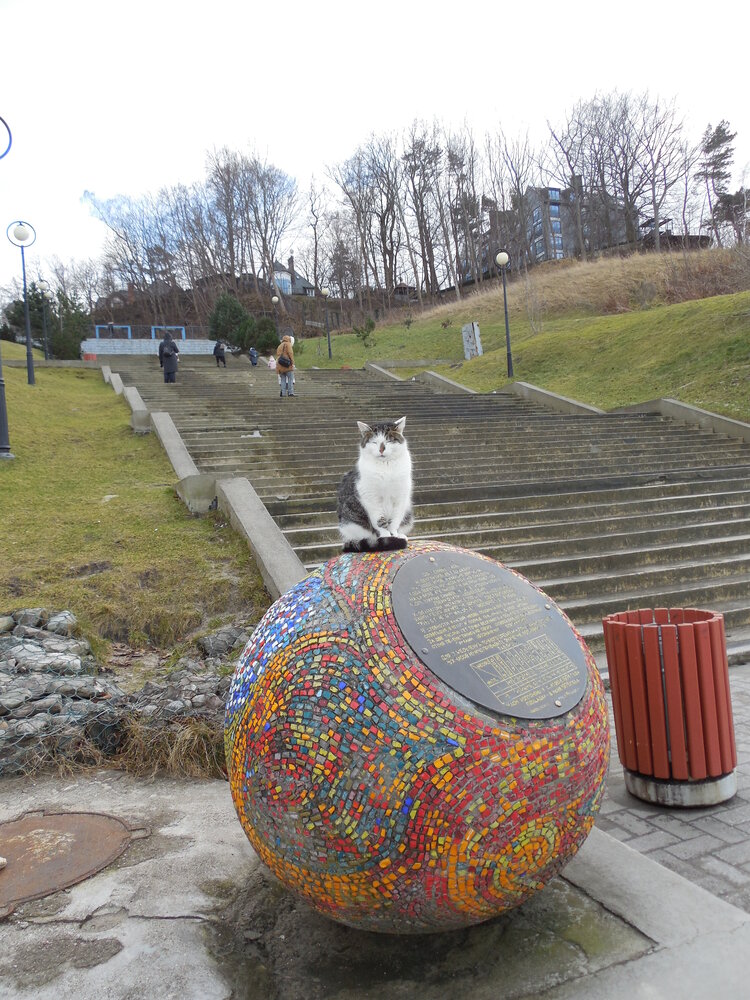Photo #14039212