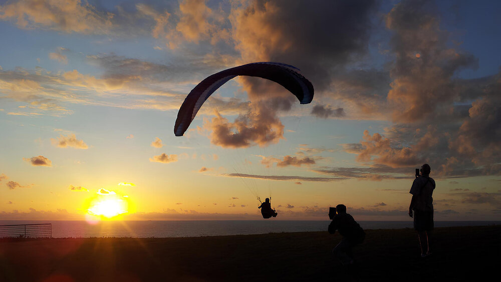 Silhouette in Flight / Силуэт в полёте