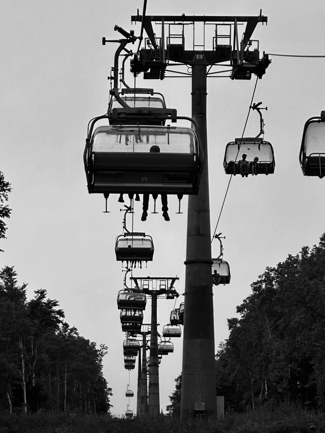 Photo #14039242