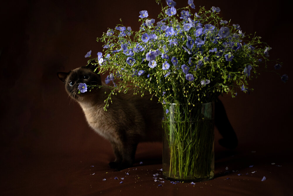 Photograph by Алёна Газукина