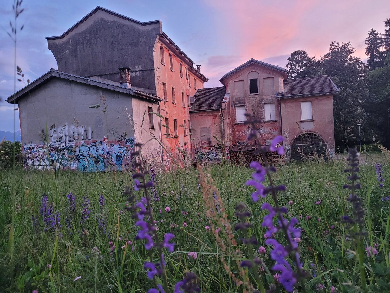 Photo #14039284