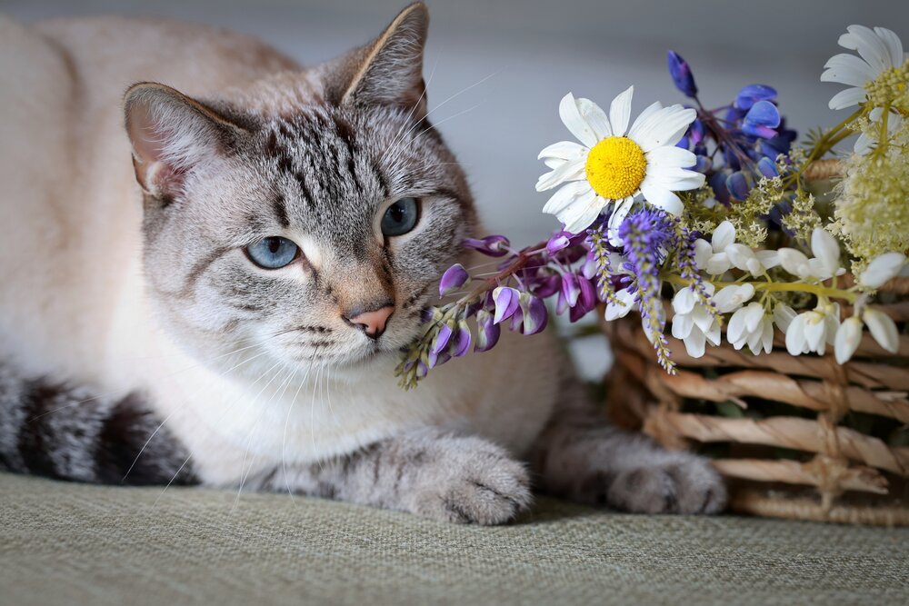Photograph by Елена Карпухно