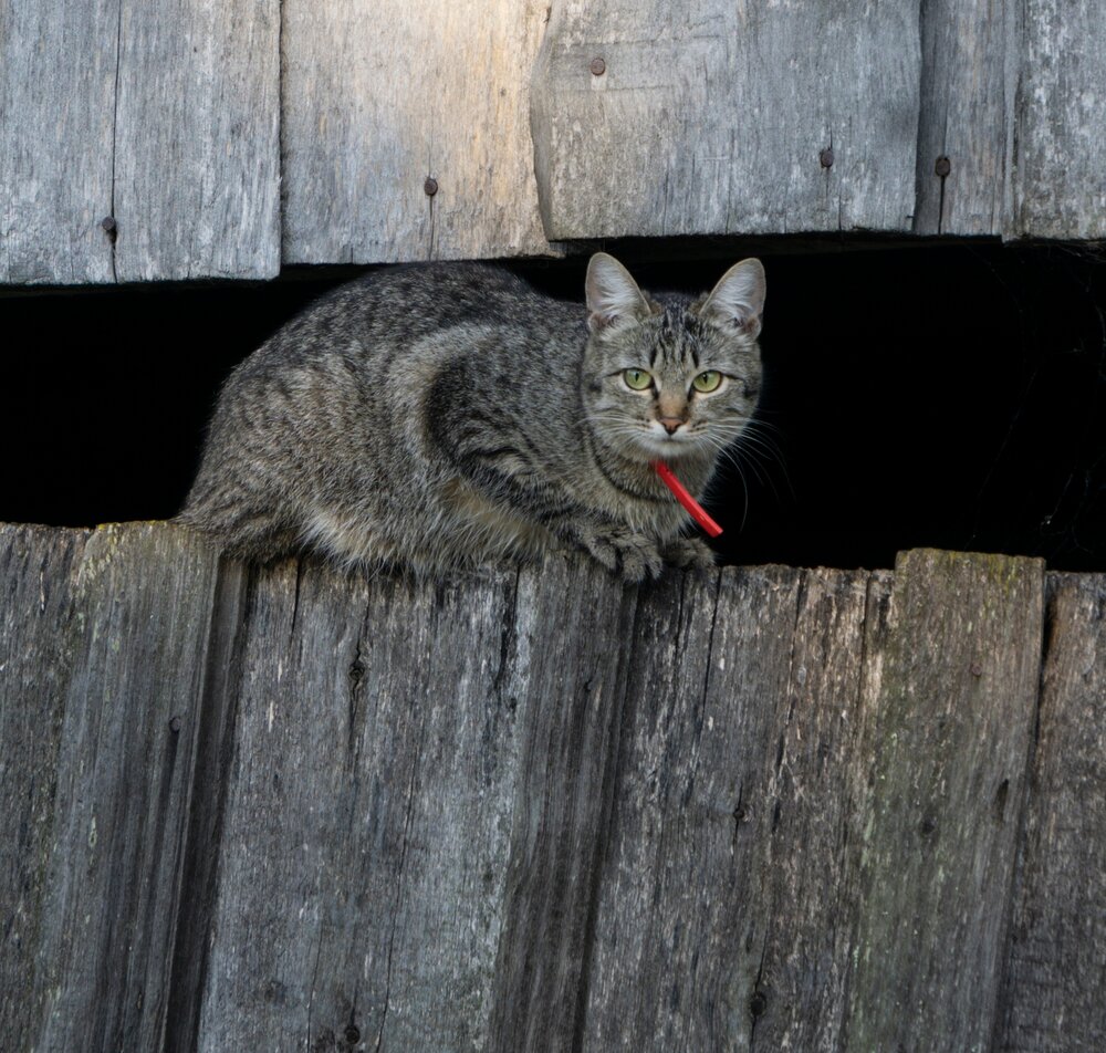 Photograph by Olga