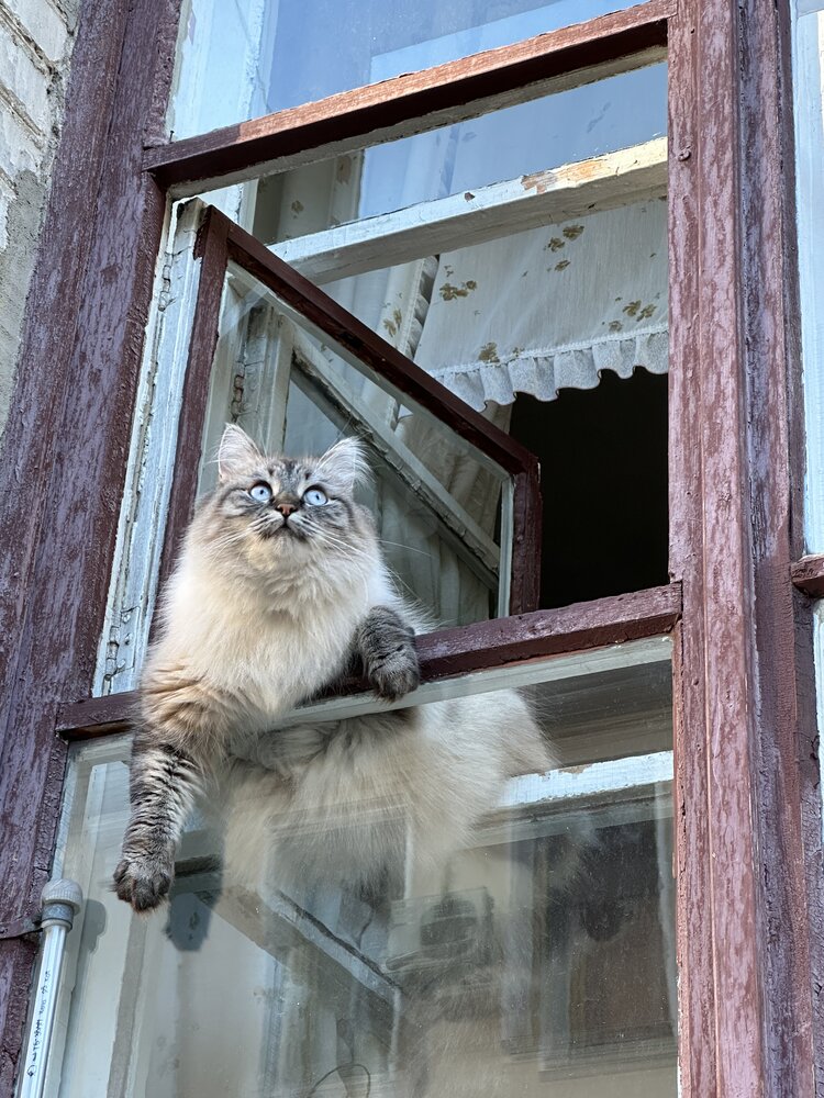 Photograph by Татьяна Двойченкова