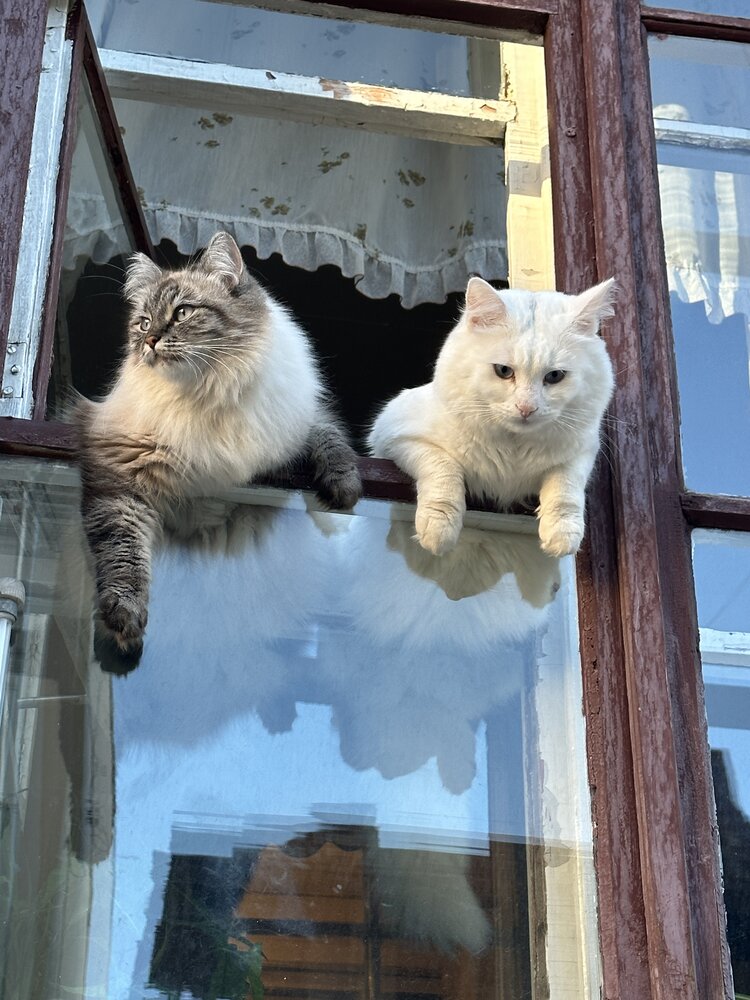 Photograph by Татьяна Двойченкова