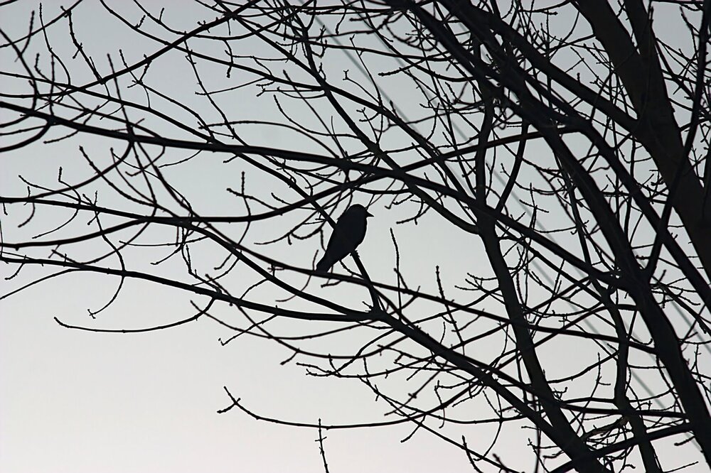 Photograph by Евгений Беленков