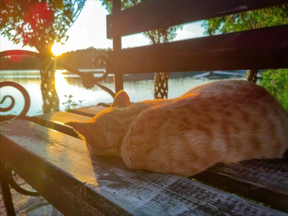 Photograph by Мария Самохвалова