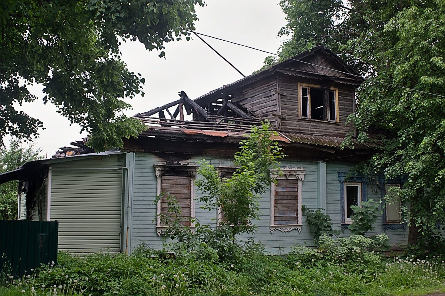 Photo #14039376