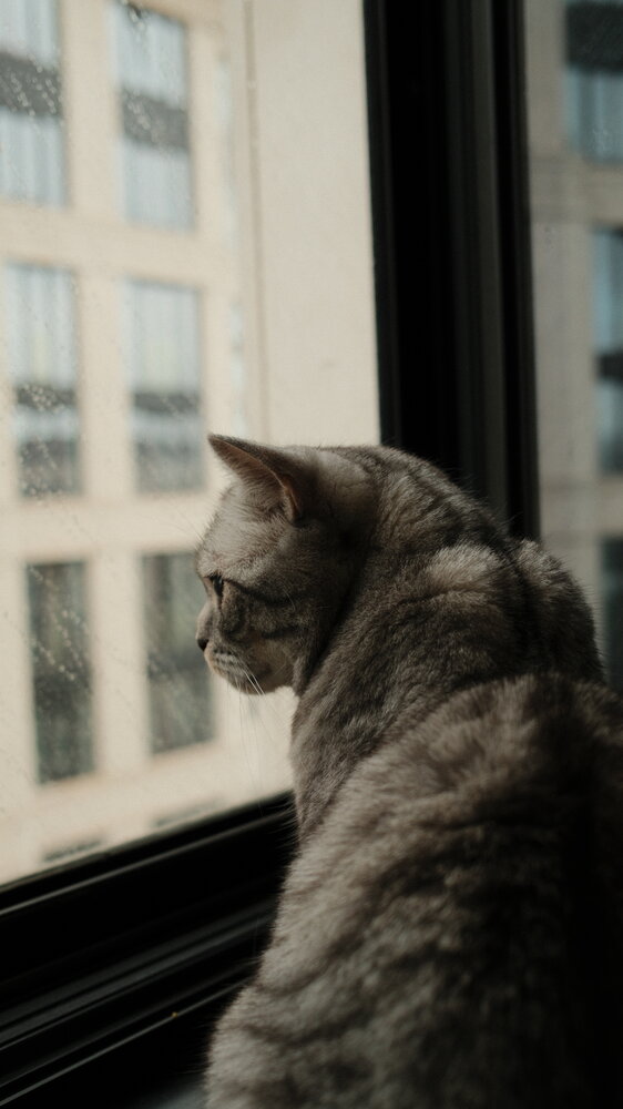 Photograph by Олег