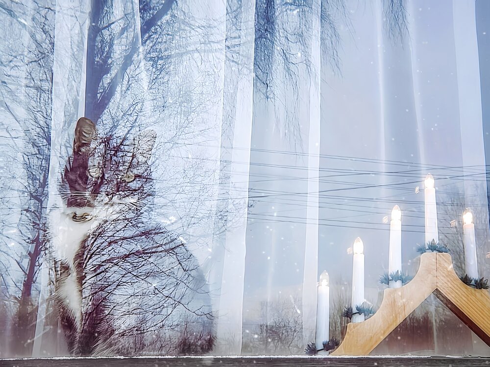 Photograph by Мария Самохвалова