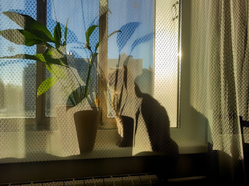 Photograph by Мария Самохвалова