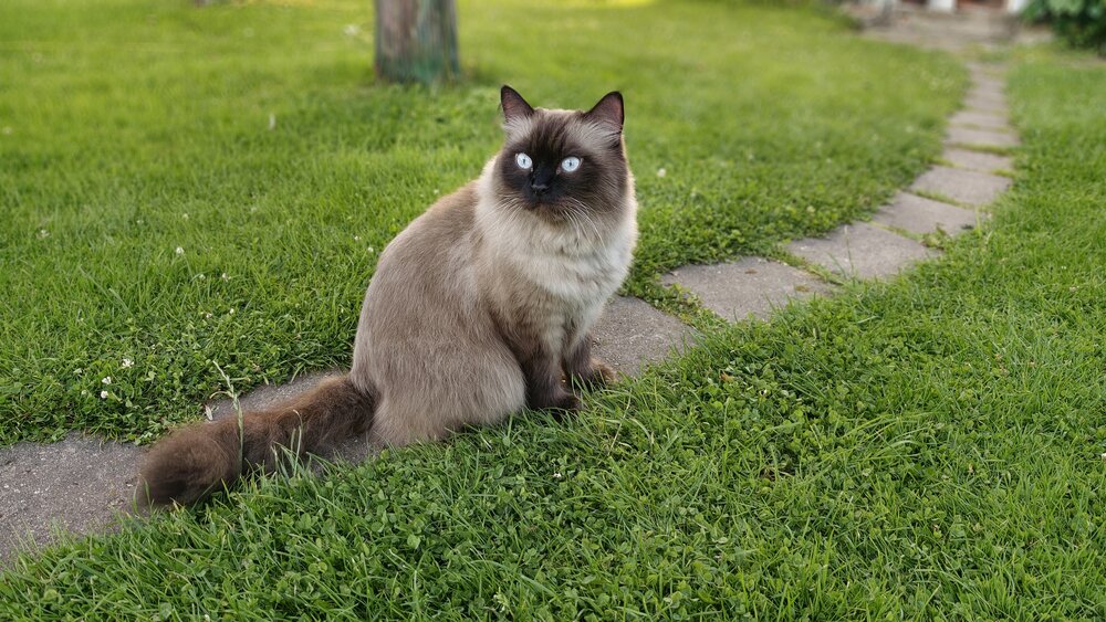 Фотография автора Марина Карасева