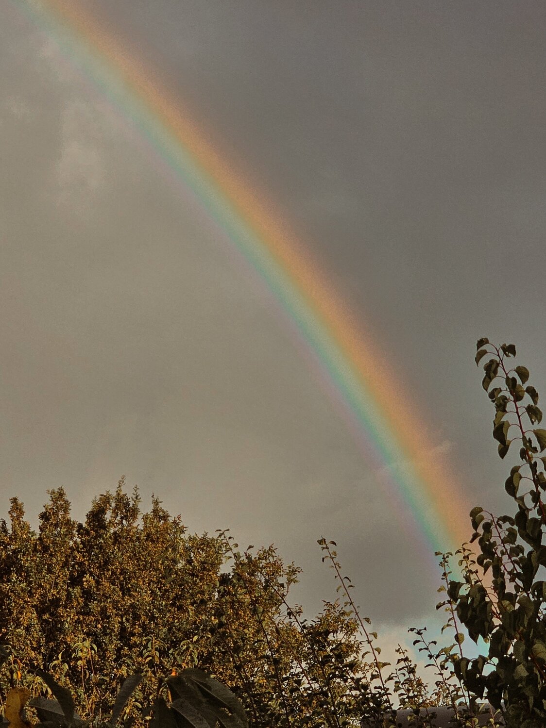 Photo #14039518