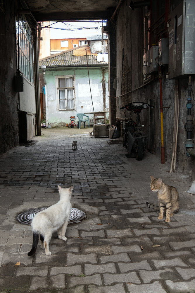 Photograph by Светлана