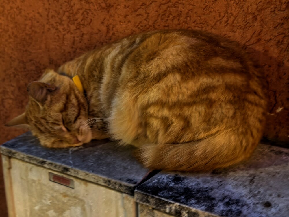 Photograph by Сергей Носов