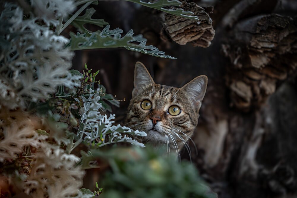 Photograph by Милана Бабченко