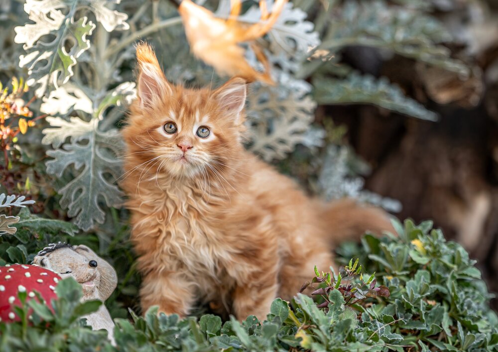 Photograph by Милана Бабченко