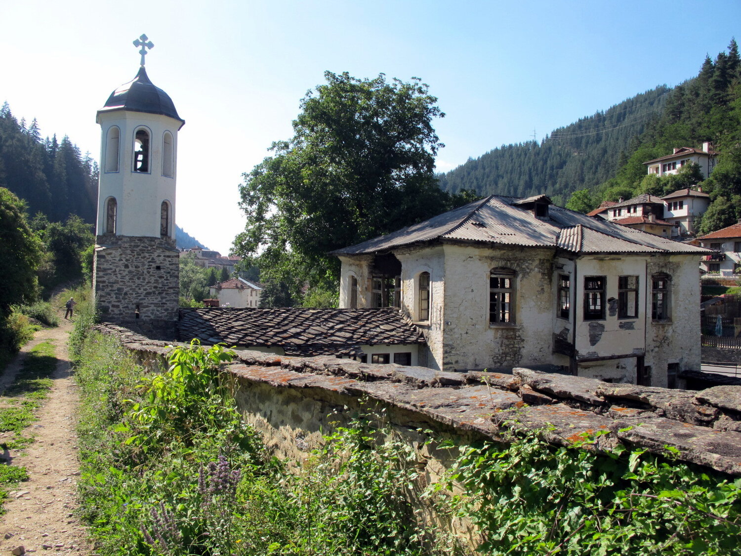 Photo #14039680