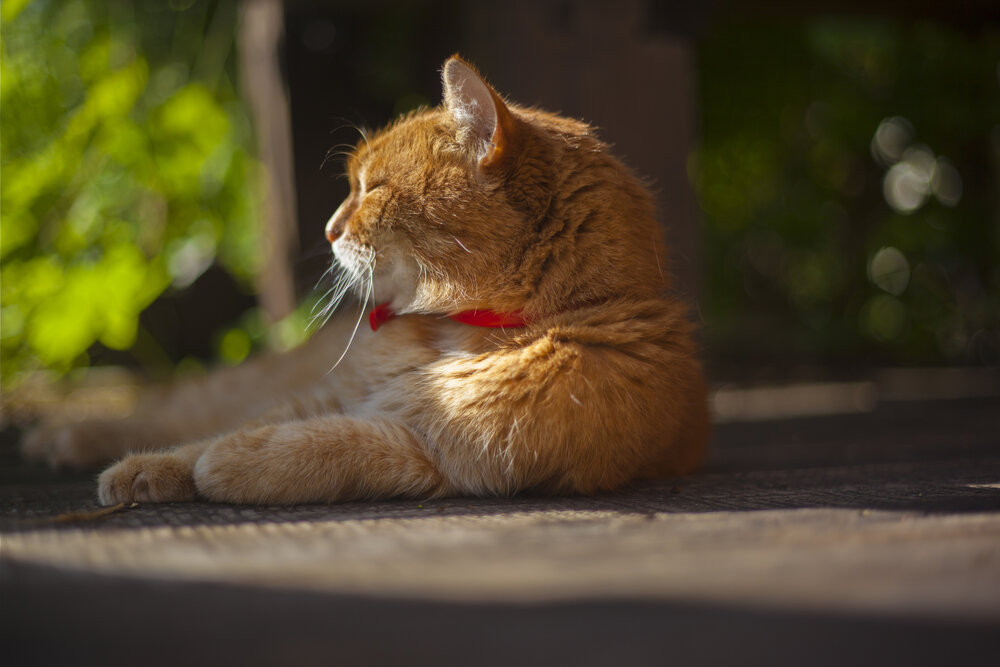 Photograph by Михаил Строев