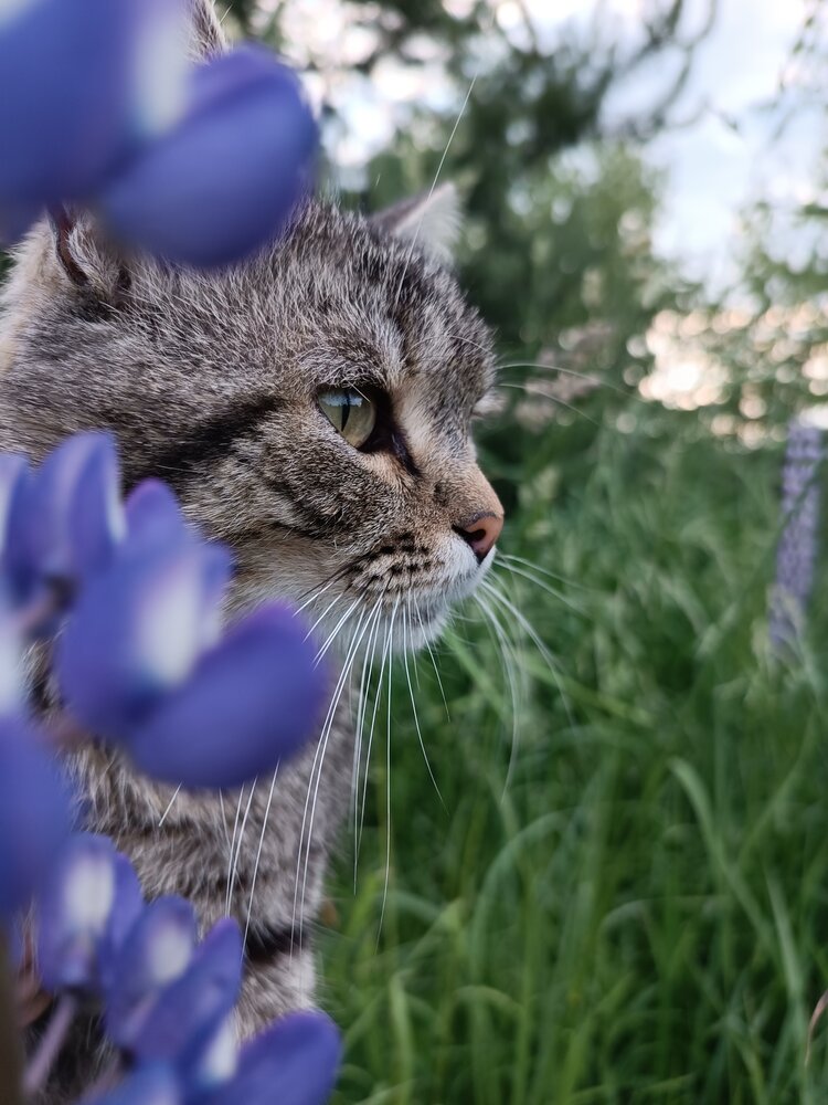 Photograph by Крайнова Татьяна