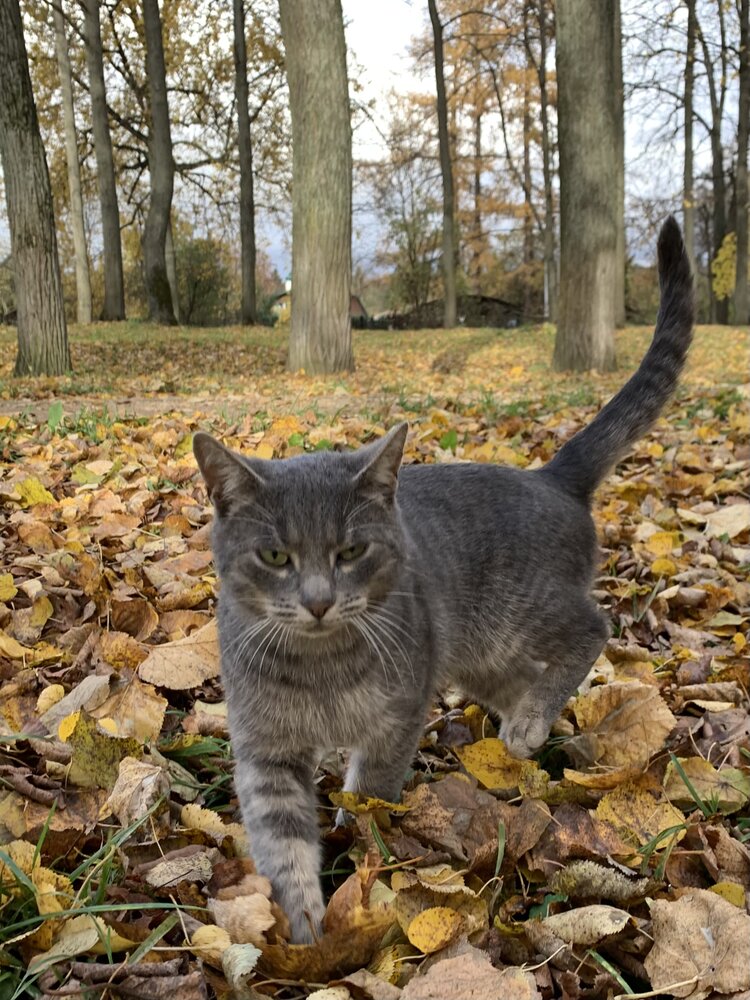 Photograph by Игорь Ребров