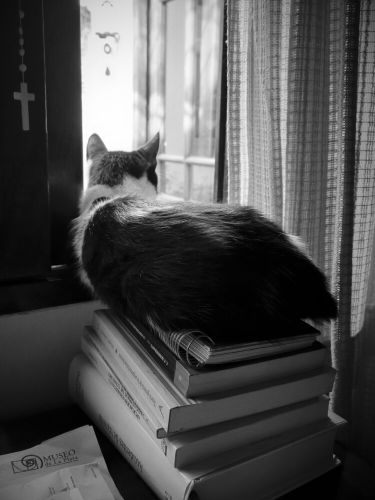 Photograph by Diego Moyano